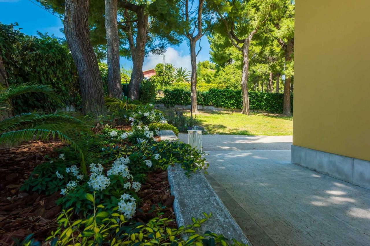 Tra Gli Alberi E Il Mare Acomodação com café da manhã Sirolo Exterior foto