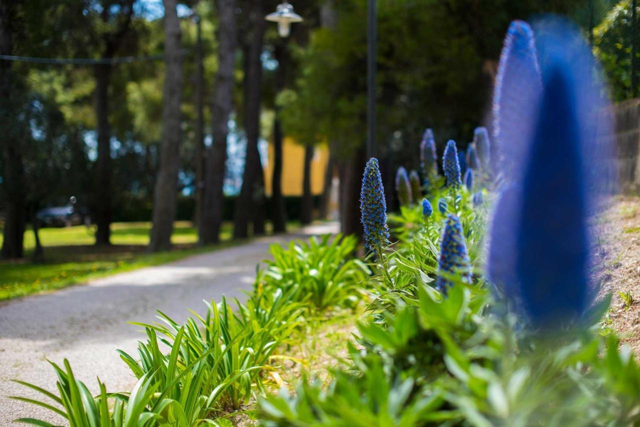 Tra Gli Alberi E Il Mare Acomodação com café da manhã Sirolo Exterior foto